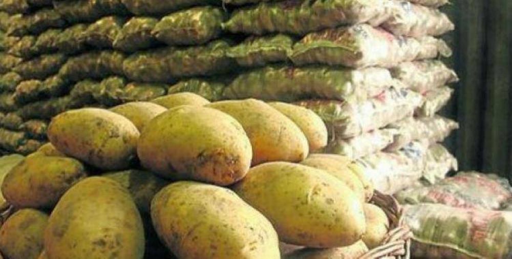 Productores santiague�os reniegan de la superproducci�n de papa en Tucum�n