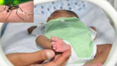 Muri� en Tucum�n un beb� como consecuencia del Zika