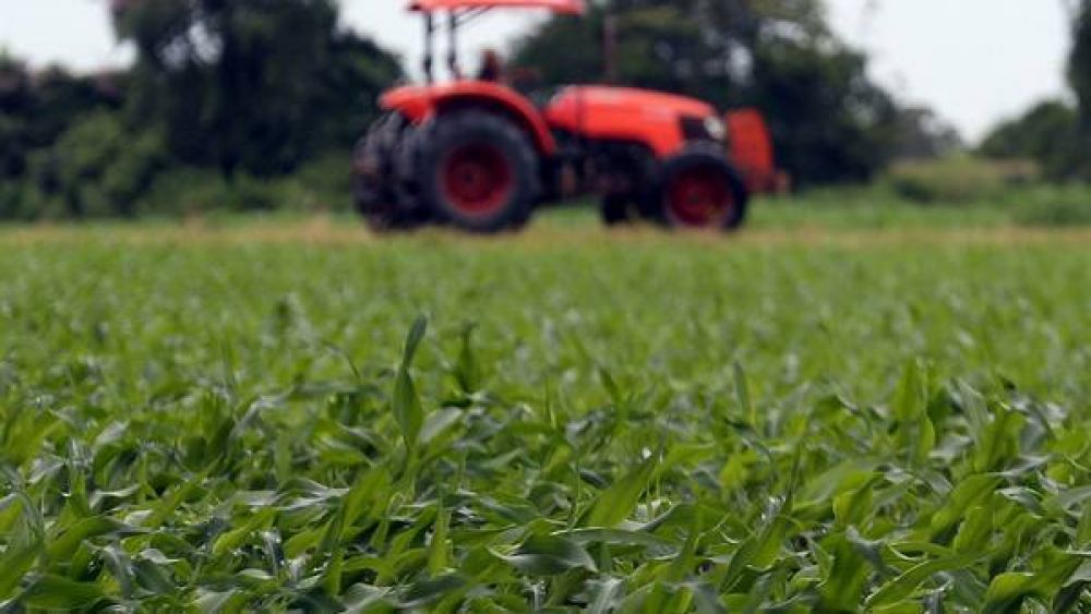 La primera cosecha de Macri sera rcord con 130 millones de toneladas de granos