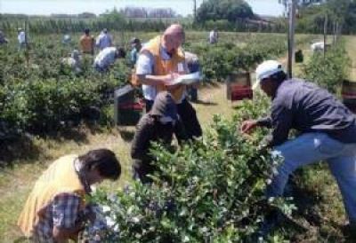 De cada 100 empleados, 42 est�n en negro en la provincia