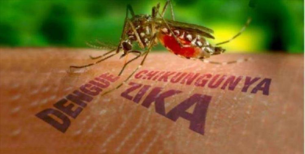 Se confirm en Tucumn el primer cas autctono de Zika
