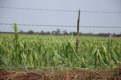 Provincia y Naci�n evaluar�n la zona afectada por el granizo del jueves