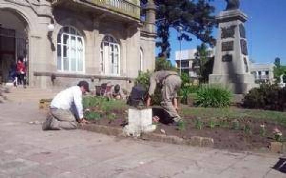 Tareas de forestaci�n y trabajos en espacios verdes