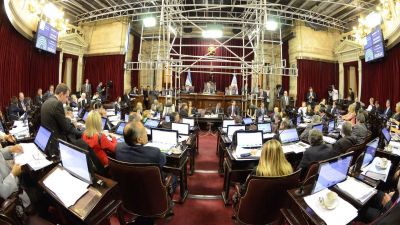 La oposici�n logr� en el Senado media sanci�n a la ley de emergencia social
