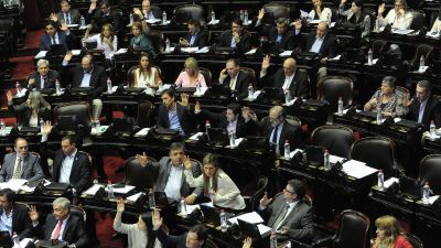 La C�mara de Diputados aprob� el R�gimen de Protecci�n a las V�ctimas de Delitos