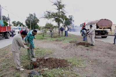 Contin�an los trabajos de arbolado en diversos barrios de la Capital
