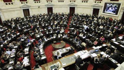 El proyecto de emergencia social se frena en Diputados