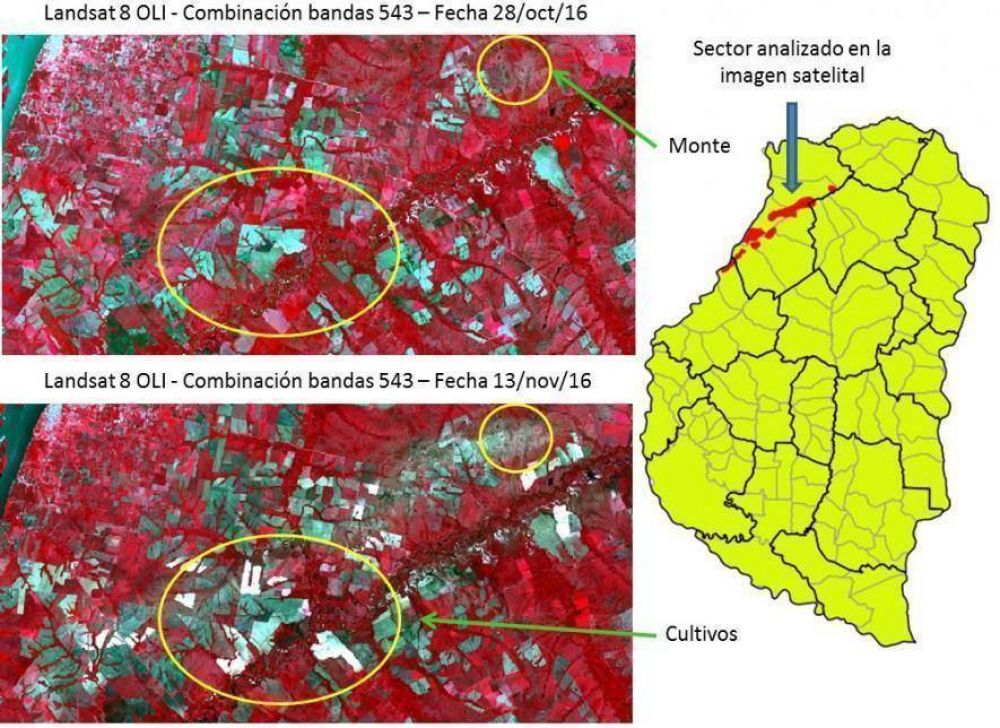 El granizo del jueves provoc� da�os en lotes de soja, ma�z y granizo de la provincia 