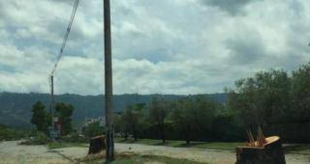 Vecinos de Yerba Buena indignados por tala de rboles en avenida Pern