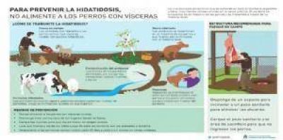 SENASA inici� campa�a para cortar el ciclo de la hidatidosis