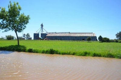 Inundaciones: plantas cerealeras, paralizadas