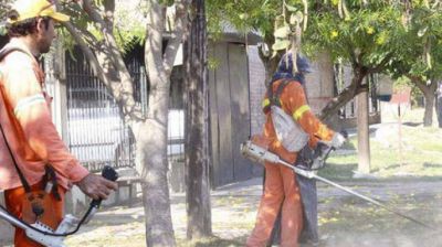 Efect�an intensos trabajos para prevenir el avance del dengue