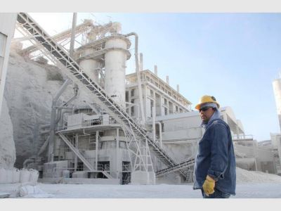 Cal: pactan la venta de 360 mil toneladas extra por a�o