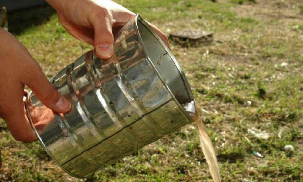 Dengue: Con 300 agentes que recorrer�n los barrios, apuntan a prevenir la aparici�n del mosquito