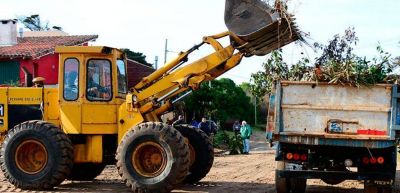 Multan a vecinos por arrojar restos de poda en v�a p�blica