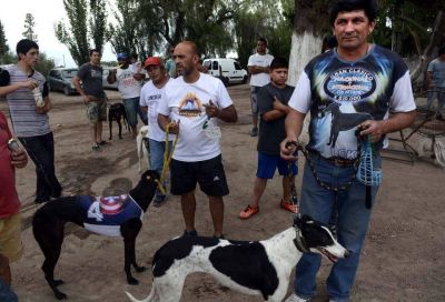 Galgueros quieren que la provincia no adhiera a la Ley