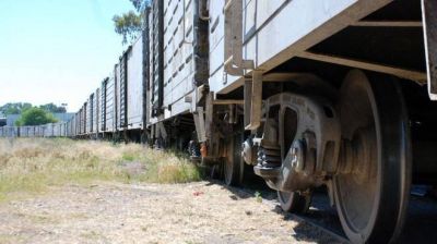 Naci�n apuesta a reactivar el tren para el desarrollo de Vaca Muerta