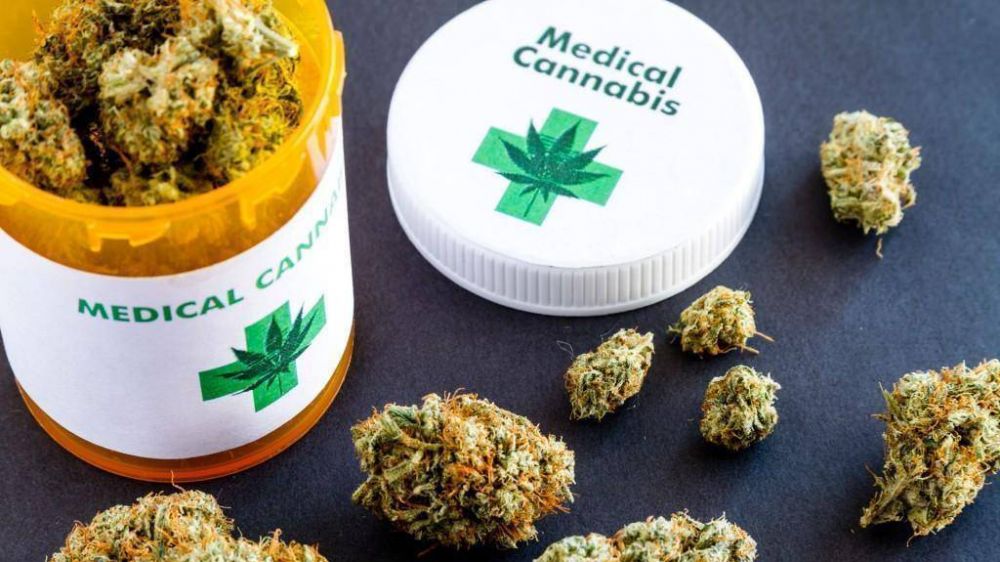 Cannabis medicinal: qu efectos produce la marihuana en la salud?