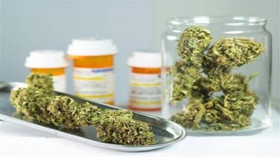 Una voz local sobre el cannabis medicinal: �Tenemos esperanza que en 2017 el proyecto pueda ser mejorado�