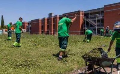  Lan�s: corte de pasto en el cementerio