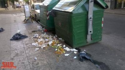 Comerciantes y vecinos denuncian invasi�n de ratas en Quilmes centro