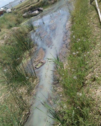Denuncian que se estar�a produciendo derrame de l�quido cloacal a la laguna desde hace m�s de una semana