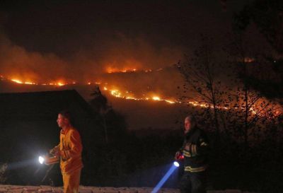 Se perdieron más de 2.500 hectáreas por incendios forestales