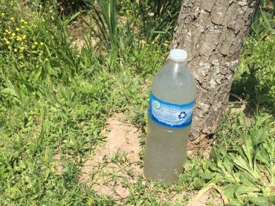 Video: Desde el municipio massista de Chascom�s arrojan residuos cloacales a la laguna