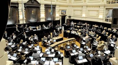 La marihuana medicinal tambi�n se debate en la Provincia
