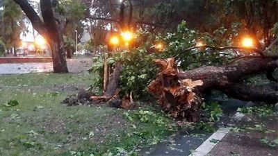 Se activ� la asistencia provincial tras el temporal en Entre R�os	