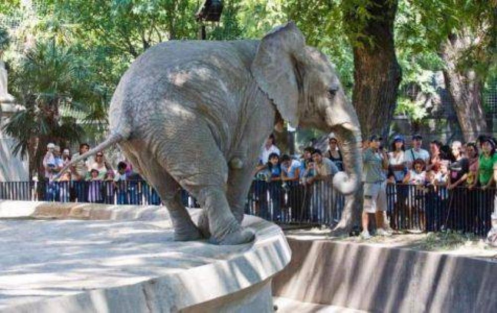 Abogados para los animales del ecoparque