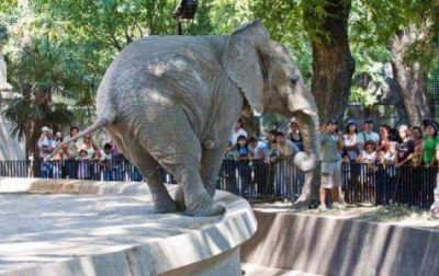 Abogados para los animales del ecoparque