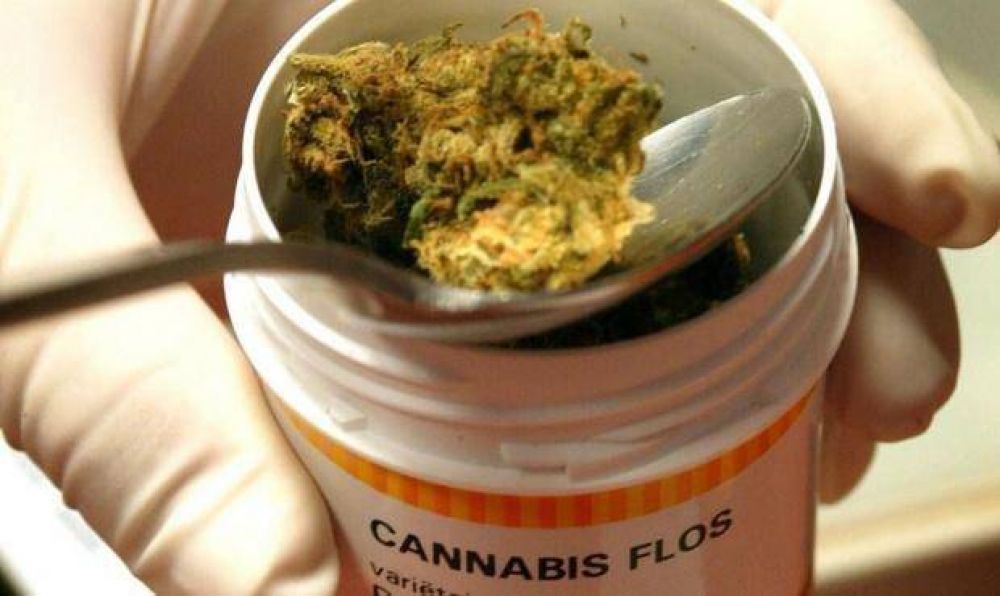 En la provincia el Aceite de Cannabis ser medicamento alternativo