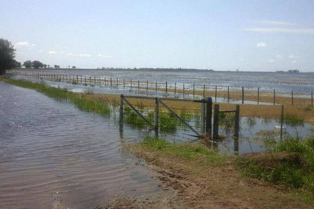 Consecuencias del agua: General Villegas deber� afrontar una siembra de soja 30% menor
