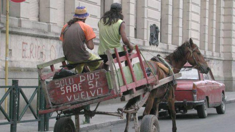 Proteccionistas aportaron modificaciones al proyecto de Erradicaci�n de la Tracci�n a Sangre en Paran� 