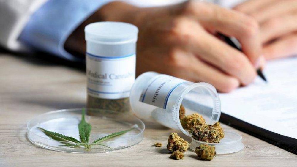 El uso medicinal del cannabis es ley en Neuqun