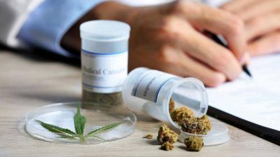 El uso medicinal del cannabis es ley en Neuquén