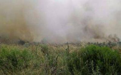 Un importante incendio destruy� 200 hect�reas en Sierra de los Padres