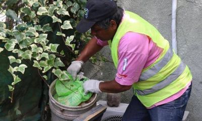 El primer operativo contra el Dengue lleg� con prevenci�n y descacharreo a cuatro barrios de Pilar
