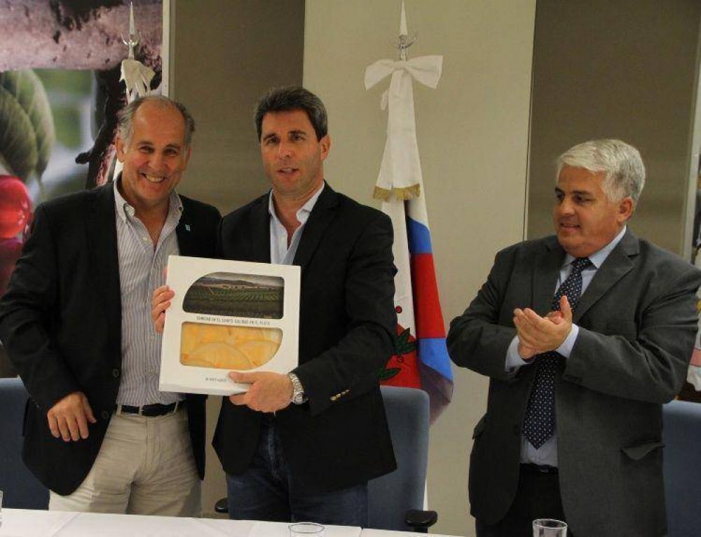 Hay da�os de hasta un 40% si no se combate a la plaga