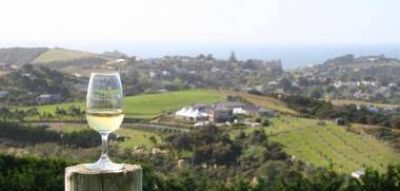 La comercializaci�n de vinos cay� 10,7% en octubre pasado