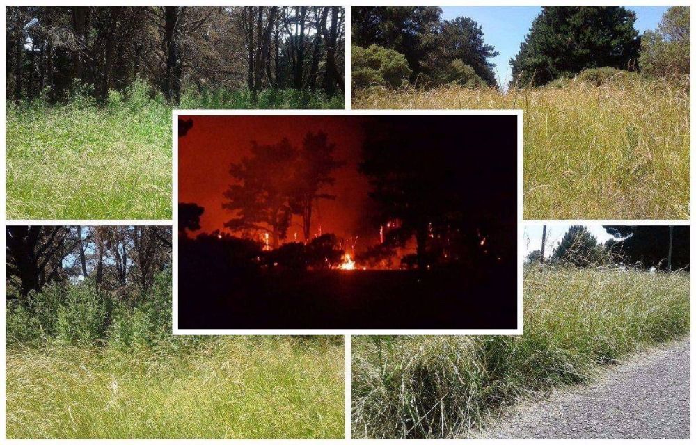 Vecinos de El Marquesado temen que la reserva forestal se incendie otra vez