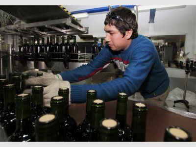 Vi�ateros se quejan por la veda a la publicidad del vino