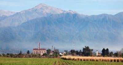 Postulan a Tucum�n como sede mundial del az�car
