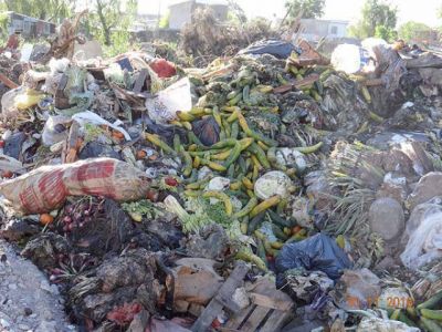 Arrojaban basura