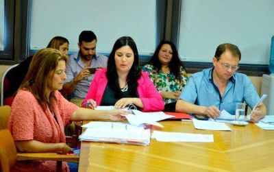 Sustitutos: aprobaron dictamen de mayor�a