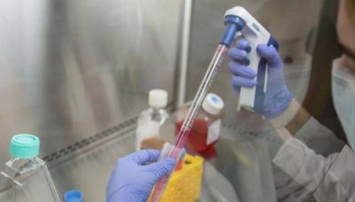 Novedosa terapia con fibroblastos permite congelar el paso del tiempo