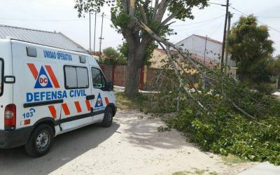 El fuerte viento provoc� la ca�da de �rboles y cables en distintos barrios