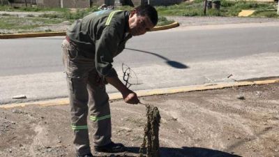 Limpieza de cloacas en Capital