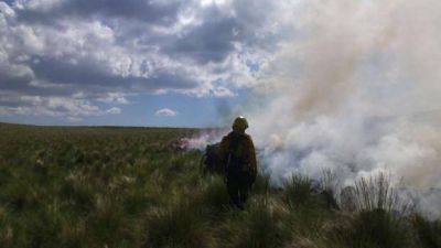 Aseguran que el incendio forestal en el Ambato es intencional